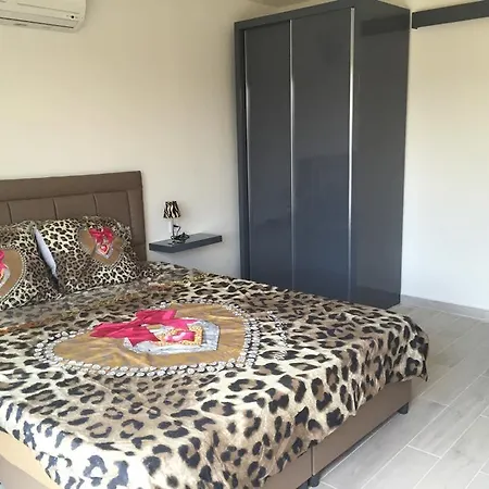 Turq Oase Holiday home *